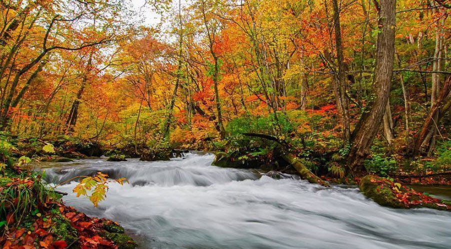Oirase Gorge